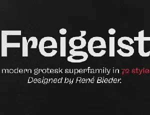 Freigeist Family font