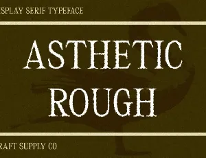 Asthetic Rough font
