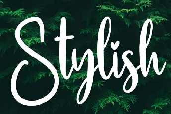 Stylish Script Typeface font