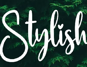 Stylish Script Typeface font