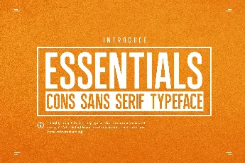 Essentials Typeface font