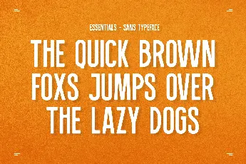 Essentials Typeface font