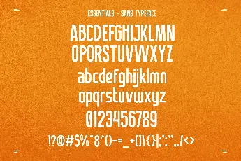 Essentials Typeface font