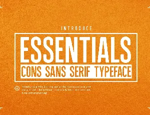 Essentials Typeface font