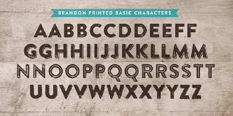 Brandon Printed Family font