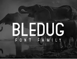 Bledug Family font
