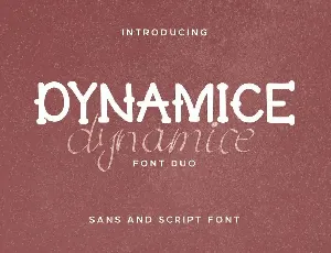 Dynamice Demo font