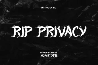 RIP Privacy font