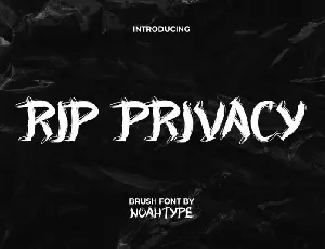RIP Privacy font