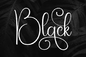 Black Calligraphy font