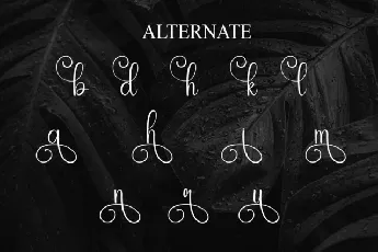 Black Calligraphy font