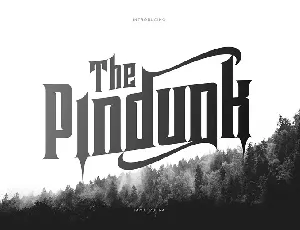 Pindunk-Font font