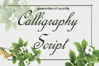 Calligraphy Script font