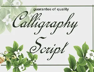 Calligraphy Script font