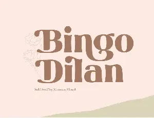 Bingo Dilan font