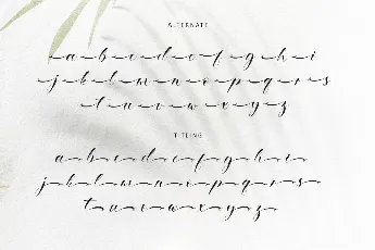 Ethereal Handwritten -Personal use font