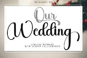 Our Wedding font