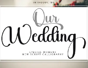 Our Wedding font