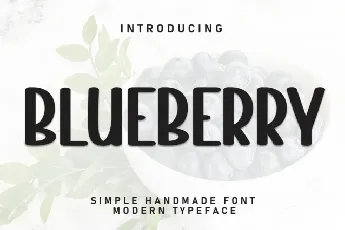 Bluberry Display font