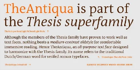 TheAntiqua Family font