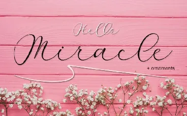 Miracle Script font