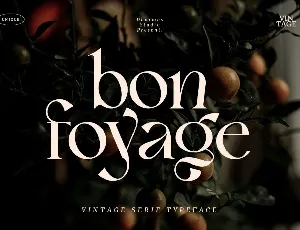 Bon Foyage DEMO font