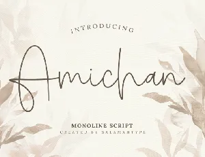 Amichan font