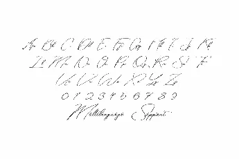 Scallies Demo font