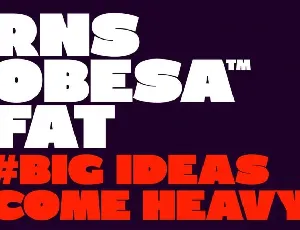 RNS Obesa Fat font