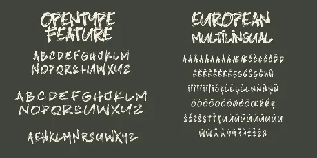 Blindshot font