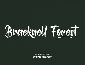 Bracknell Forest font