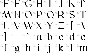 Wockie Bookers font