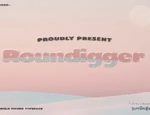 Roundigger Sans Serif font