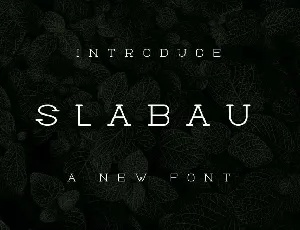 Slabau font