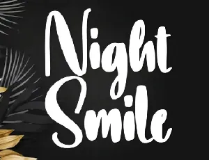 Night Smile Script font