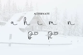 Snowhouse Script font