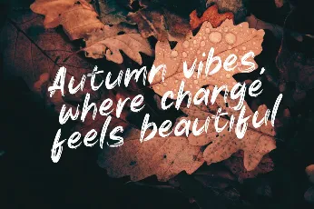 Autumn Brush font