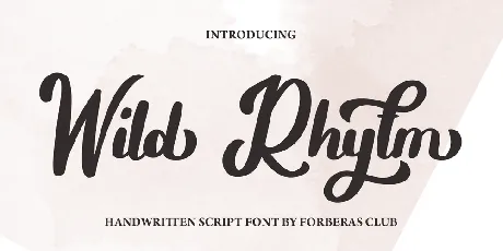 Wild Rhytm font