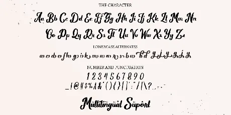 Wild Rhytm font