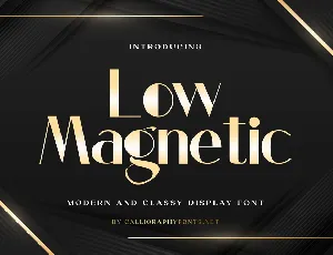 Low Magnetic Demo font