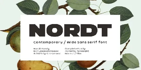 Nordt Family font