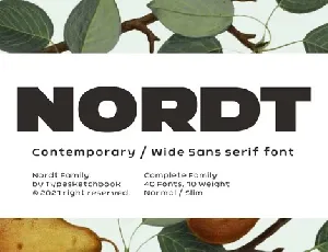 Nordt Family font