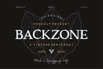 Backzone font