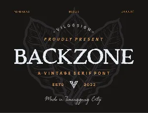 Backzone font