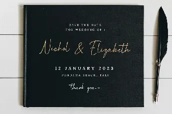 Magnificent Signature font