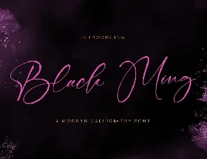 Black Ming font