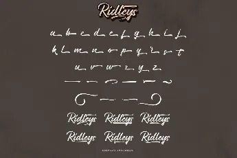 Ridleys Demo font