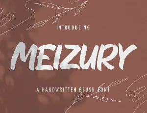 MEIZURY font