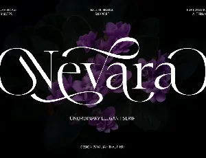 NevaraDemo font