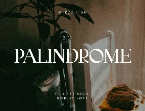 palindrome font